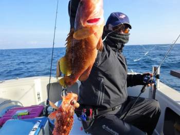 鯛紅丸 釣果