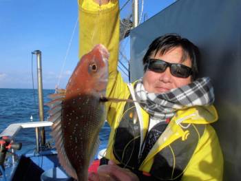 鯛紅丸 釣果