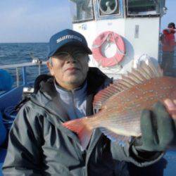 鯛紅丸 釣果