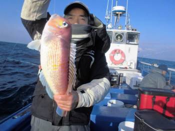 鯛紅丸 釣果