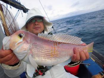 鯛紅丸 釣果