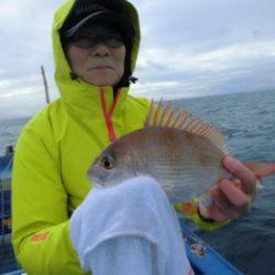 鯛紅丸 釣果