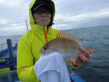 鯛紅丸 釣果