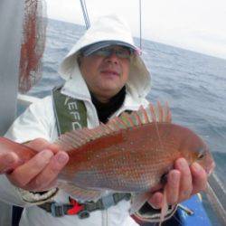鯛紅丸 釣果
