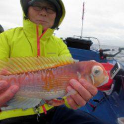 鯛紅丸 釣果
