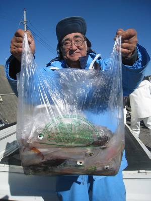 松栄丸 釣果