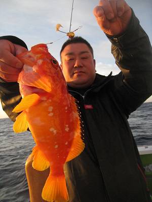 松栄丸 釣果