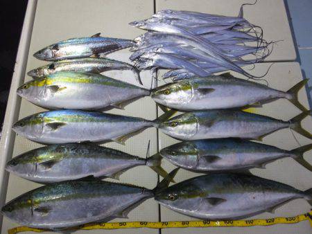 Hit Rush(ヒット ラッシュ） 釣果