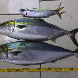 Hit Rush(ヒット ラッシュ） 釣果