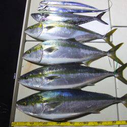 Hit Rush(ヒット ラッシュ） 釣果