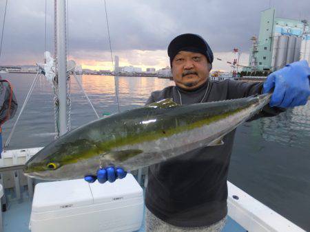 Hit Rush(ヒット ラッシュ) 釣果