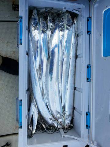 遊漁船　ニライカナイ 釣果