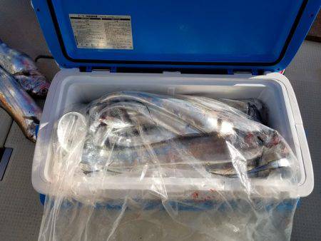 遊漁船　ニライカナイ 釣果