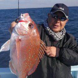 東京湾探釣隊ぼっち 釣果