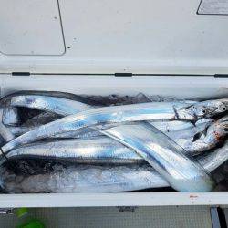 遊漁船　ニライカナイ 釣果