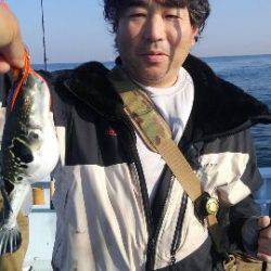 東京湾探釣隊ぼっち 釣果