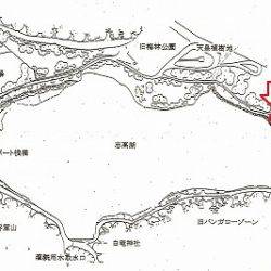 志高湖フィッシング 釣果