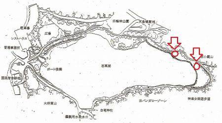 志高湖フィッシング 釣果