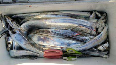 オーフリー 釣果