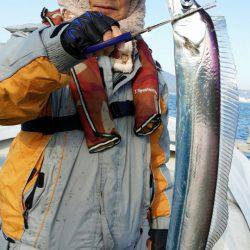 オーフリー 釣果