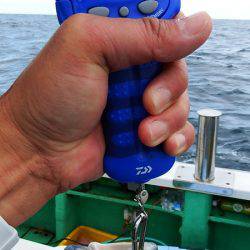 第三むつりょう丸 釣果