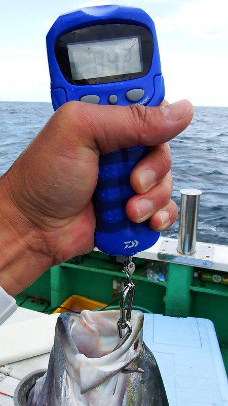 第三むつりょう丸 釣果