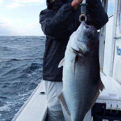 第三むつりょう丸 釣果