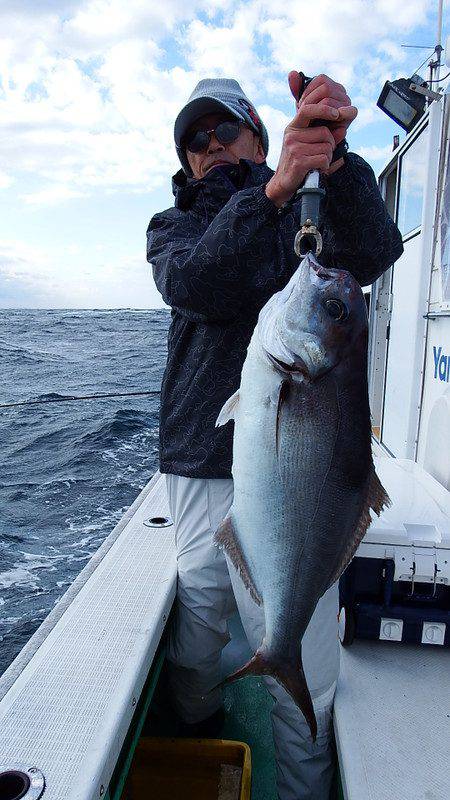 第三むつりょう丸 釣果