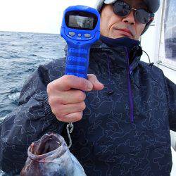 第三むつりょう丸 釣果