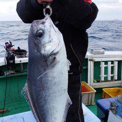第三むつりょう丸 釣果