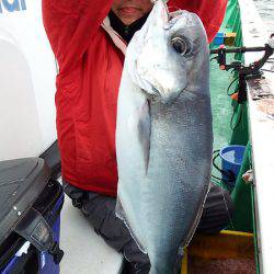 第三むつりょう丸 釣果