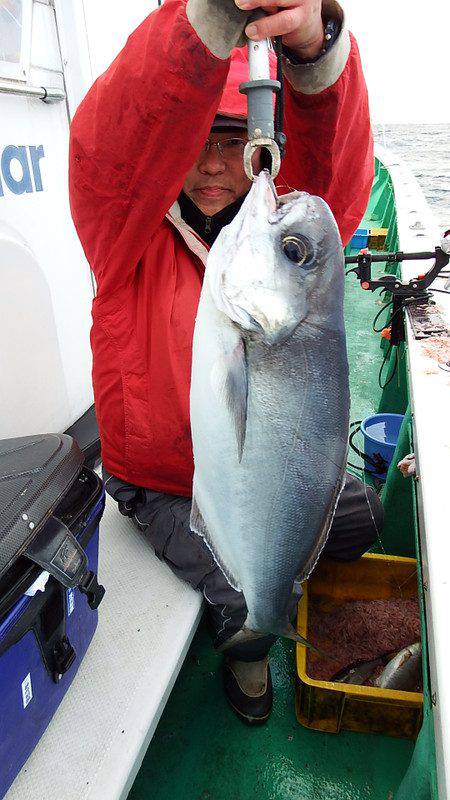 第三むつりょう丸 釣果
