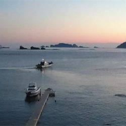 マタウマリンサービス 釣果