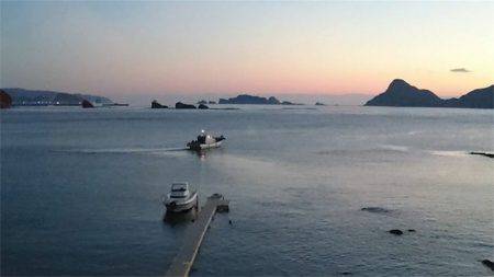 マタウマリンサービス 釣果