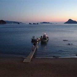 マタウマリンサービス 釣果