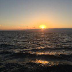 マタウマリンサービス 釣果