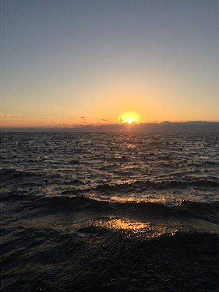 マタウマリンサービス 釣果