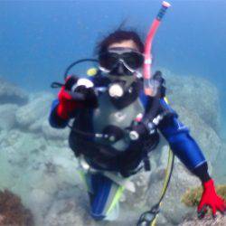 マタウマリンサービス 釣果