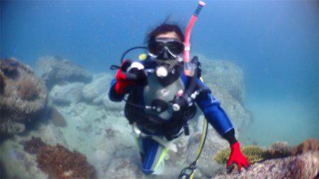 マタウマリンサービス 釣果