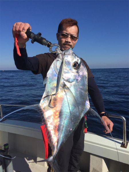 マタウマリンサービス 釣果