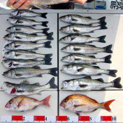 来温丸(らいおんまる) 釣果