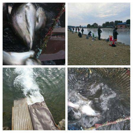 みどりフィッシングエリア 釣果