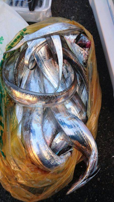 オーフリー 釣果