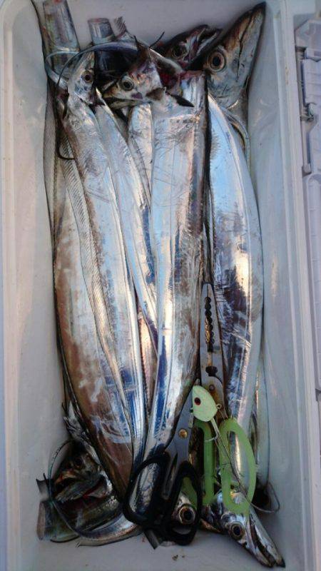 オーフリー 釣果