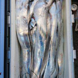 オーフリー 釣果