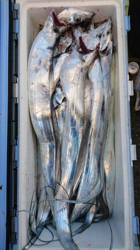 オーフリー 釣果