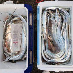 オーフリー 釣果