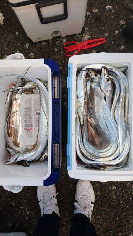 オーフリー 釣果