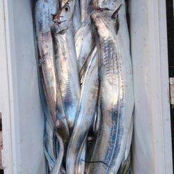 オーフリー 釣果