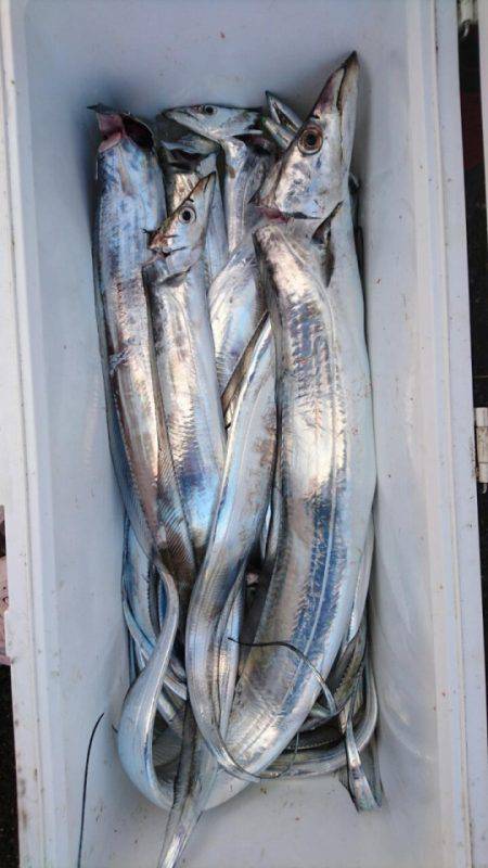 オーフリー 釣果